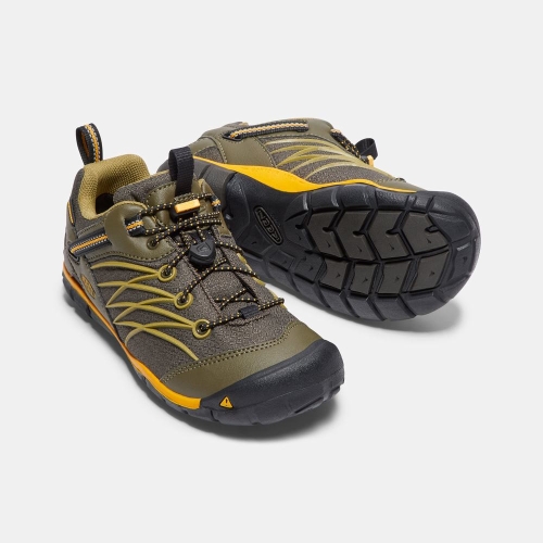 Kids' Keen Chandler Waterproof Cnx Hiking Shoes Dark Olive | XWZ-356104