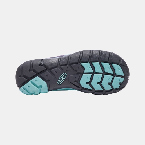 Kids' Keen Chandler Waterproof Cnx Hiking Shoes Purple Turquoise | ZVD-802167