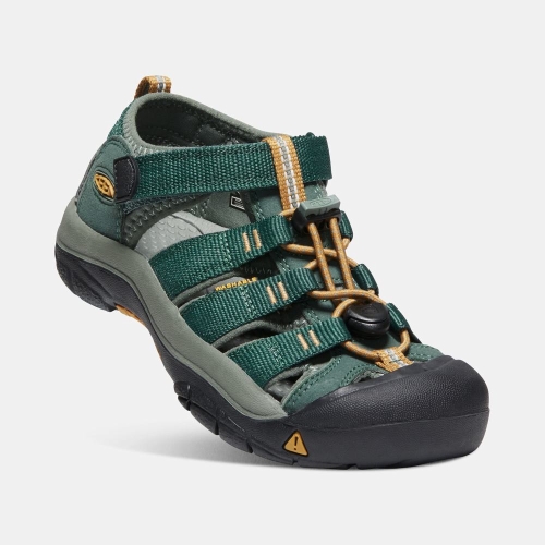 Kids' Keen Newport H2 Sandals Deep Green | YXZ-183740