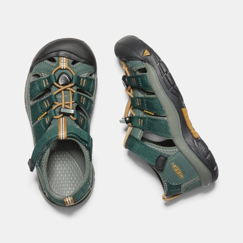 Kids' Keen Newport H2 Sandals Deep Green | YXZ-183740