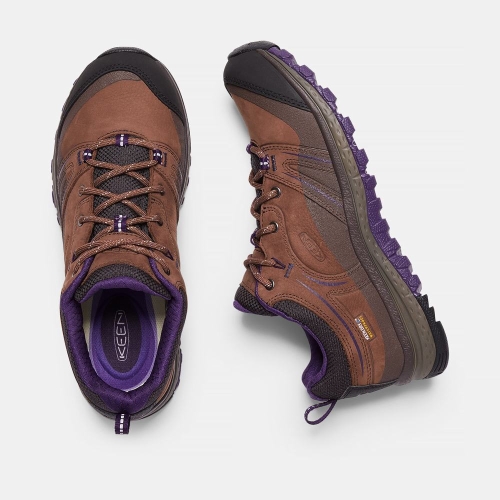 Women's Keen Terradora Leather Waterproof Hiking Shoes Brown Purple | KJN-067953